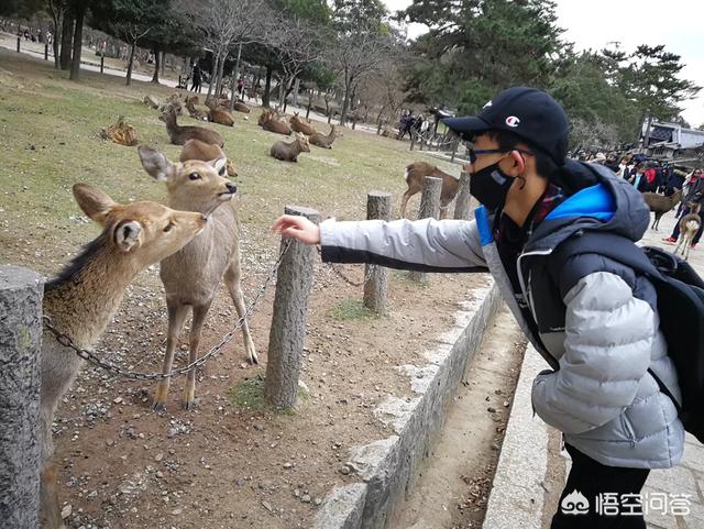日本教育有哪些方面值得我们学习呢？