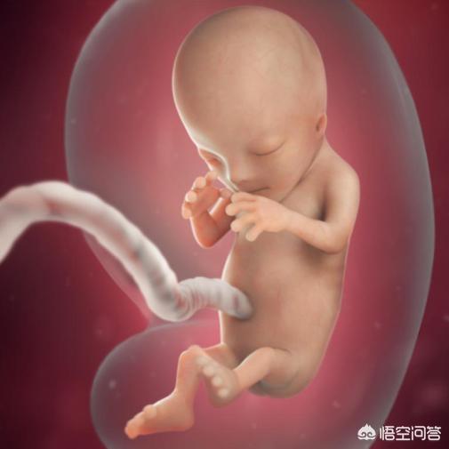 孕期吃葡萄，孩子的眼睛会亮吗？孕期吃什么对孩子的皮肤好？