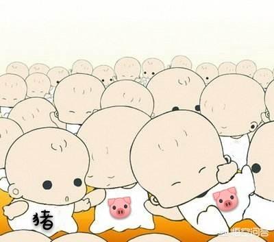 为什么说今年是生育高峰年？有什么寓意？你会选择跟风要孩子吗？