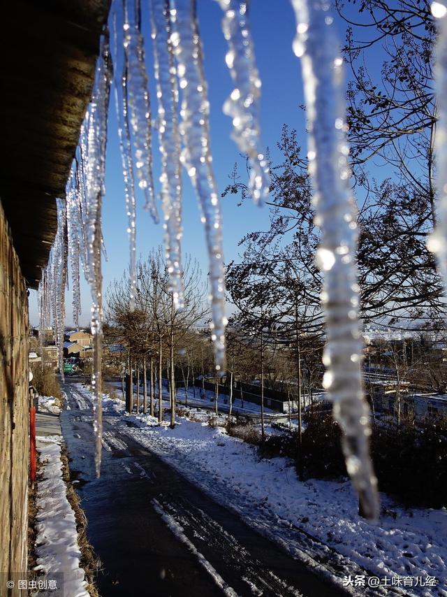 宝贝过大年：快来玩雪啦！我们小时候过年玩雪可嗨哟！不信你来PK