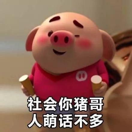 猪年，我想活得像猪一样！