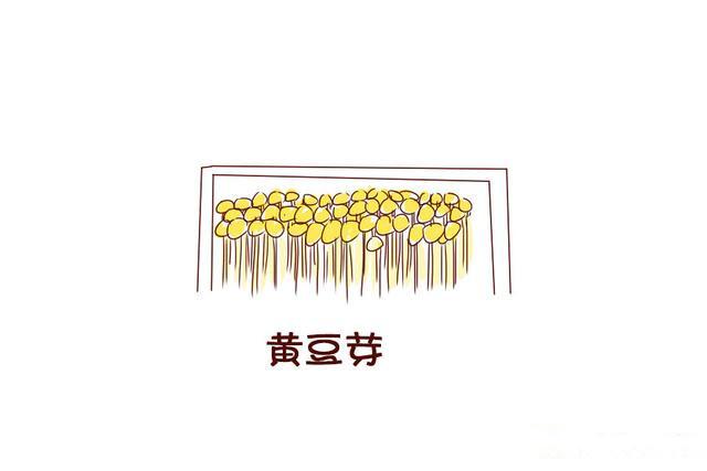 赢的秘诀，就是别输；孕期营养的秘诀，就是要蔬！