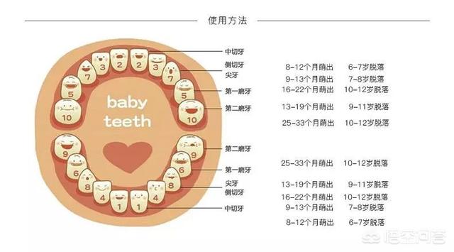 宝宝出牙的征兆、时间、顺序是怎样的？如何护理？