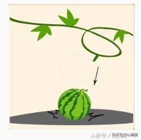 看图猜成语，右脑发达的能猜对大半，大人都不一定比小孩准确率高