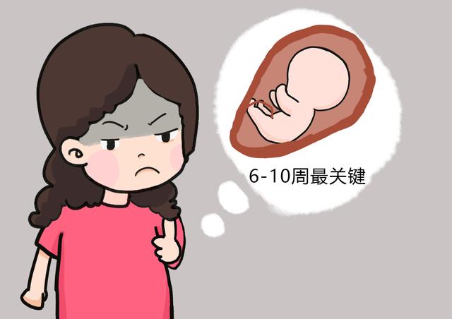 孕初期，是胚胎到胎儿形成的关键期，也是预防畸形必要期！