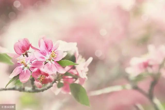 孩子，当你强大，整个世界都会对你和颜悦色(转给孩子看看)