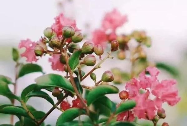 孩子写作业磨蹭？这样治，一治一个准