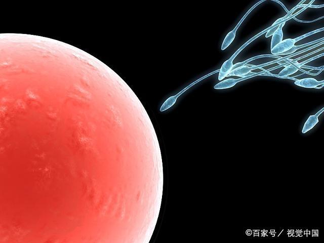 生育力强的男人，可能会有这3个共性，你家老公能占到几个？
