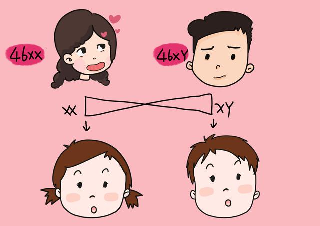 孩子智商遗传，先天和后天占比多大？家有蠢爹的，祈祷生儿子吧！