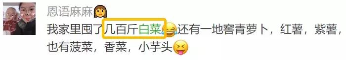 维C是苹果的8倍，补铁补钙又补水，猪年吃它福气满满！