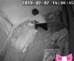 未满月男婴惨遭毒打，眼睛附近破皮流血，家人：正月去医院晦气！