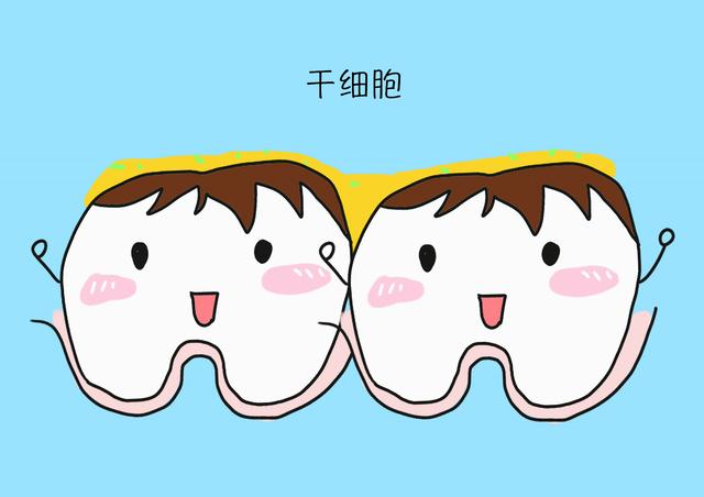 保存“乳牙”能救命？面对高昂的保存费，妈妈们会如何选择？