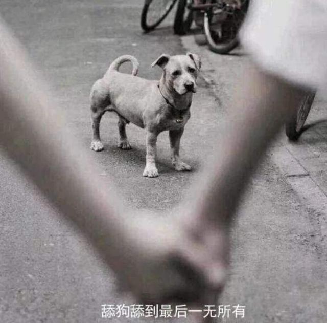 这四种行为是家长经常做的，也是孩子自卑与不幸的祸源