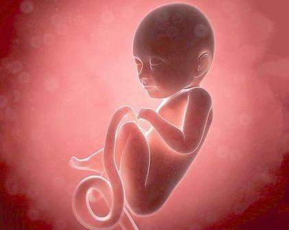 怀孕两个月突然出血，医生称胎停育，胚胎停止发育6大因素要重视