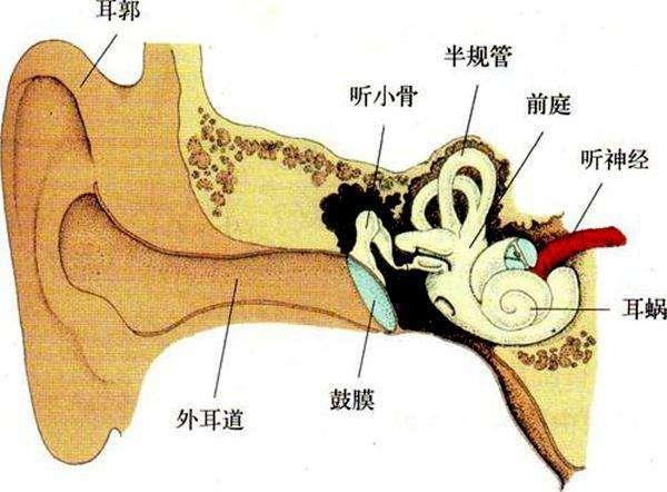 孩子晕车怎么办？医生教你来应对