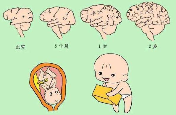究竟DHA需不需要补？如何补？其实很多家长都不明白！