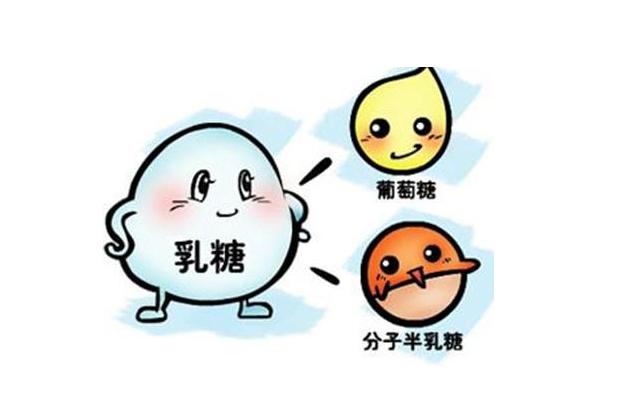 宝宝乳糖不耐受时，家长需要做好四件事，件件重要实用