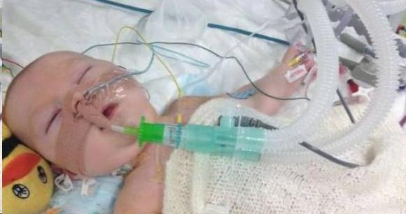 7岁重感冒小姑娘亲吻新生的小弟弟 竟救了弟弟一命