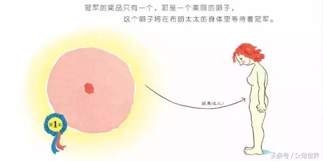 国外这些“大尺度”性教育绘本，适合中国孩子看吗？建议家长收藏