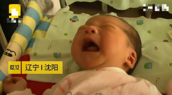 猪年生的宝宝会很有福气，7天内1家医院已有294个猪宝宝诞生