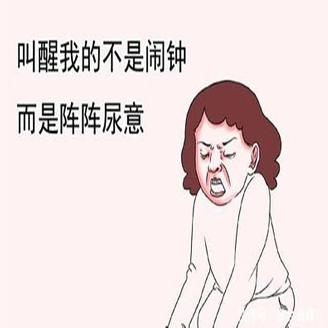 格格：孕中期一直想尿尿是怎么回事呀？听听专家给你分析分析
