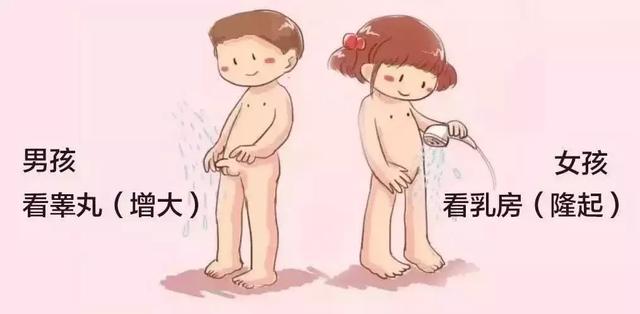 这些性发育的“秘密”，关系到孩子成年后的身高！