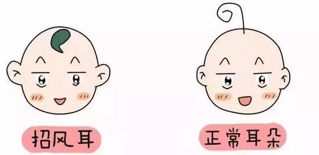 宝宝长了对“招风耳”，财不一定能招来，很可能招来祸事儿！