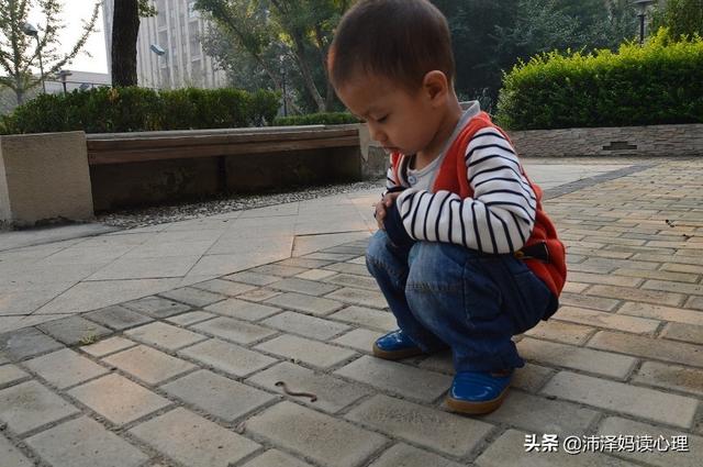 培养孩子专注力，不要只在意专注时间的长短，更要看重这一点