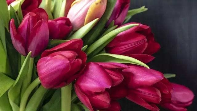 做不焦虑的父母，培养自主的孩子