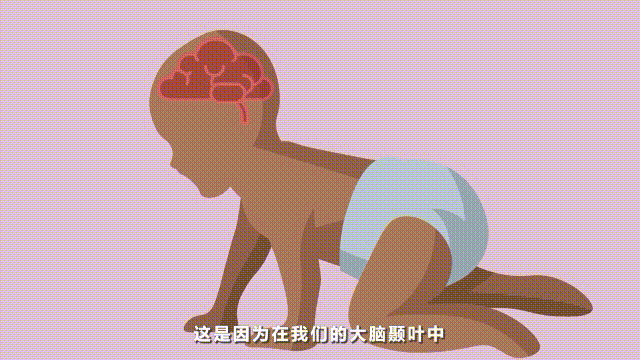3分钟看懂“童年失忆症”，你可能被童年记忆欺骗了！