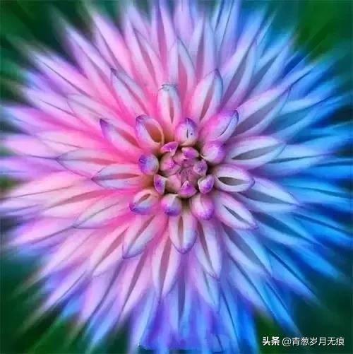 男人三大硬、女人三大硬