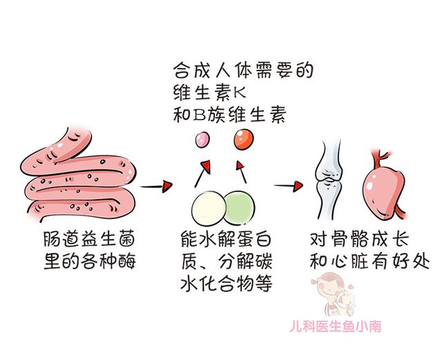 辟谣！益生菌不能让宝宝当酸奶长期喝！医生这4个理由爸妈看一看