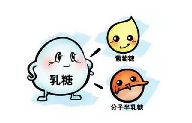 宝宝便便酸臭带泡沫，当心是“乳糖不耐受”！可影响智力发育