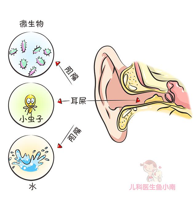能不能给宝宝掏耳朵？为啥建议少用棉签？这5点护理知识爸妈收好