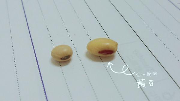 住孩子鼻孔一晚的黄豆，惊魂历险记