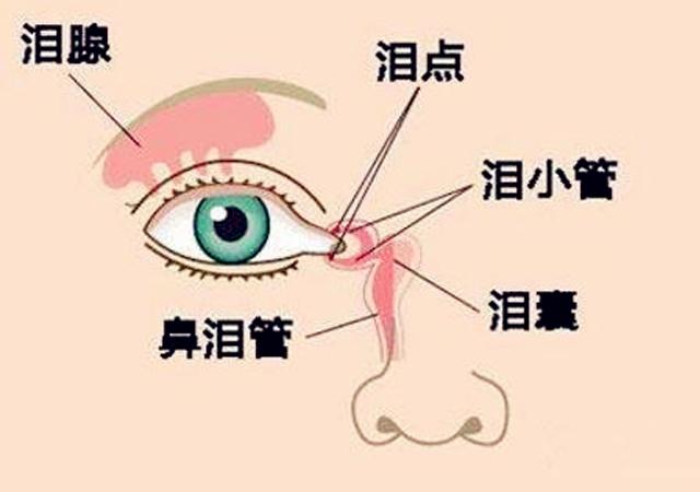 满月内宝宝眼屎多，还只有一侧长得多？这不是上火！宝妈喂水没用