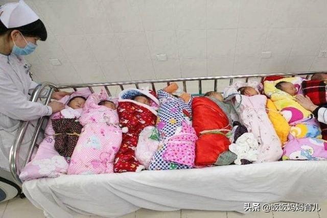 这4种父母真心不适合跟风生猪宝宝，别太任性，免得生下来会后悔