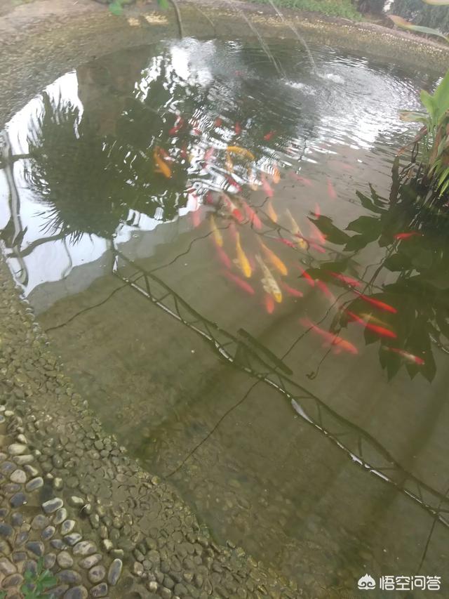 如何给孩子健康的选择零食？