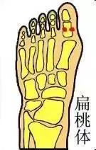 小孩咳嗽——按“脚背”能止咳！收了吧！