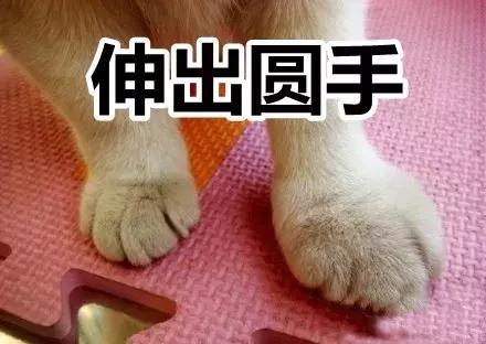 想让宝宝少去医院？千万要避开这10种错误的护理方式！
