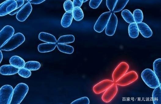 为什么有些女人总生男孩，这是什么体质？看完你就知道了！