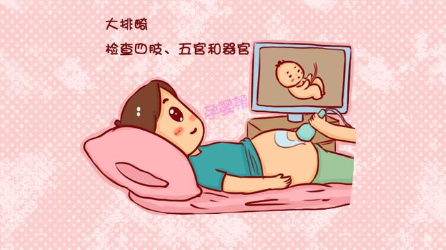 孕妈就算再忙，孕中期这两项检查也不能错过，对胎儿健康很重要
