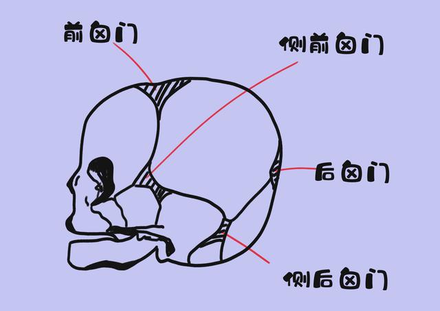 为什么医生爱摸小宝宝的囟门？看似简单的动作，隐藏健康的秘密！