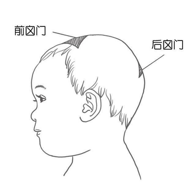 格格：婴幼儿的囟门很重要，儿科医生提醒这四项，宝妈要知道