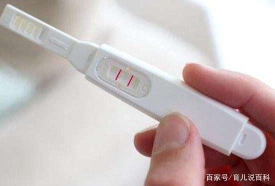它被称为“胎儿杀手”，怀孕时再馋也不要吃，极易造成胎儿畸形
