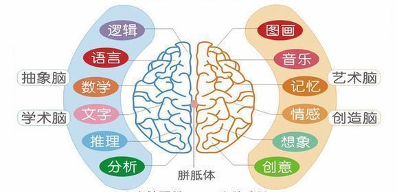 Dr.魏支招：要想孩子聪明，万万不可错过的5脑培训法！你做对了吗