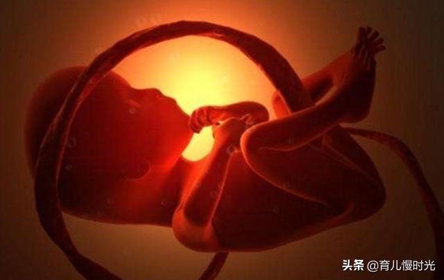 脐带绕颈？孕妈不要忽略这两个信号！日常这两件事要做好