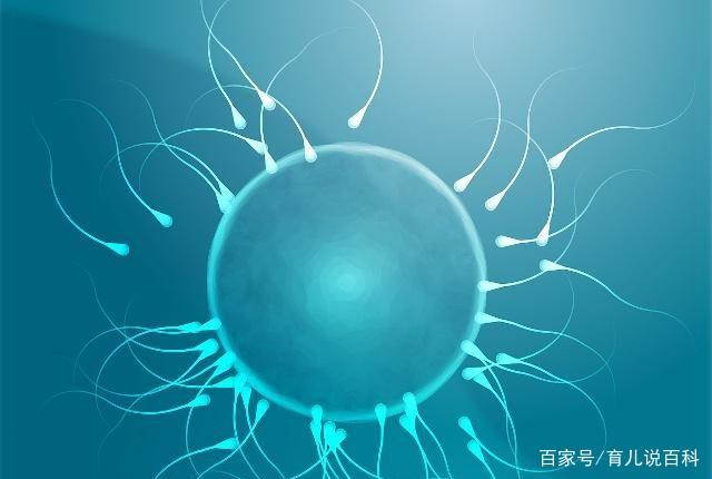 男人的最佳生育年龄是多少？原来可以这么晚