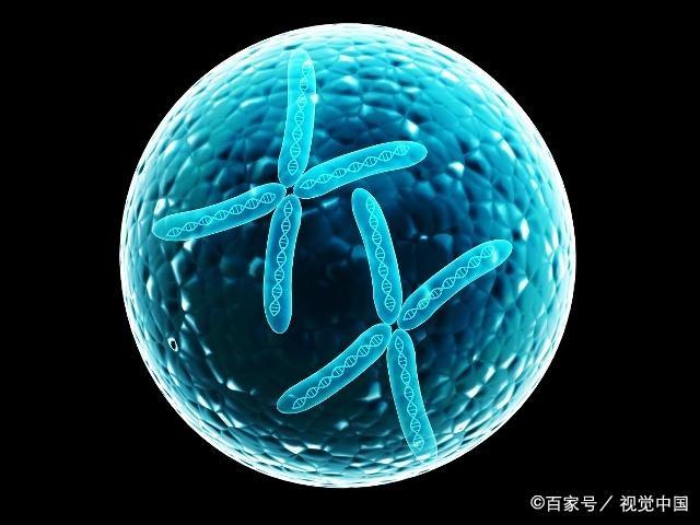 夫妻年龄相差几岁刚刚好？若在这个范围内，宝宝有福了！