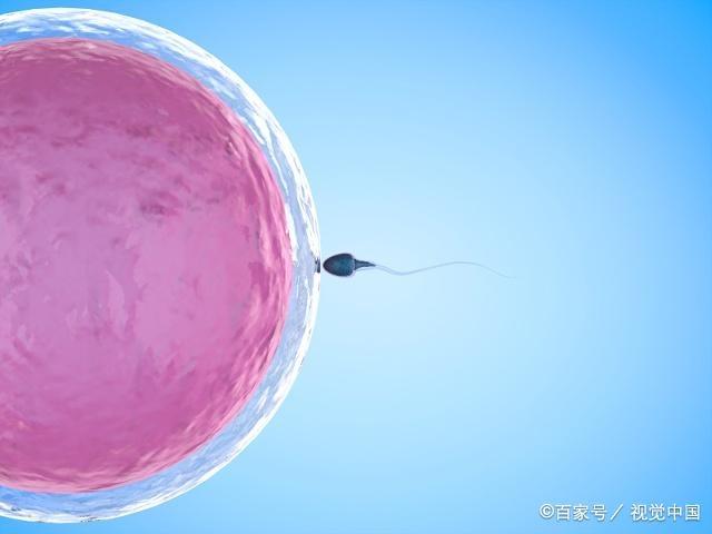 夫妻年龄相差几岁刚刚好？若在这个范围内，宝宝有福了！